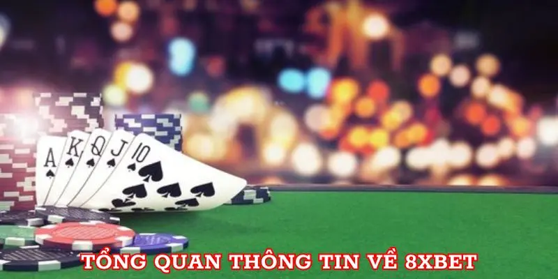 Tổng quan thông tin về 8xbet